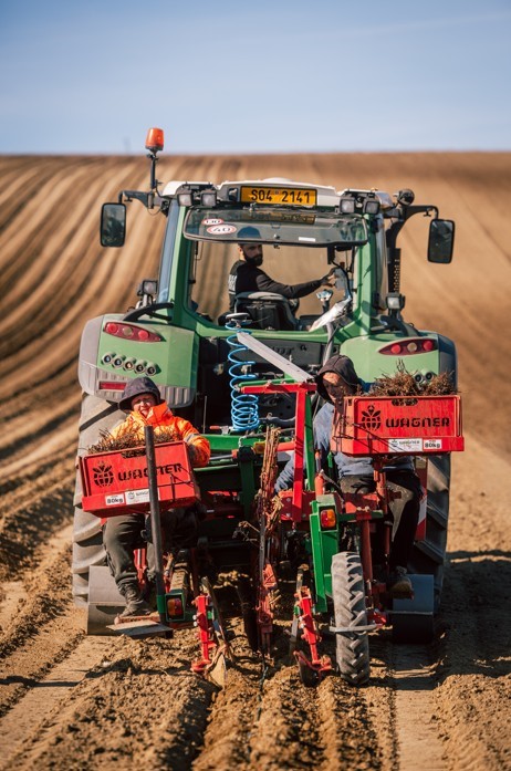 Planting of Modern PIWI Varieties Continues: 7.2 Hectares of New Vineyards to Be Added in Milovice This Year