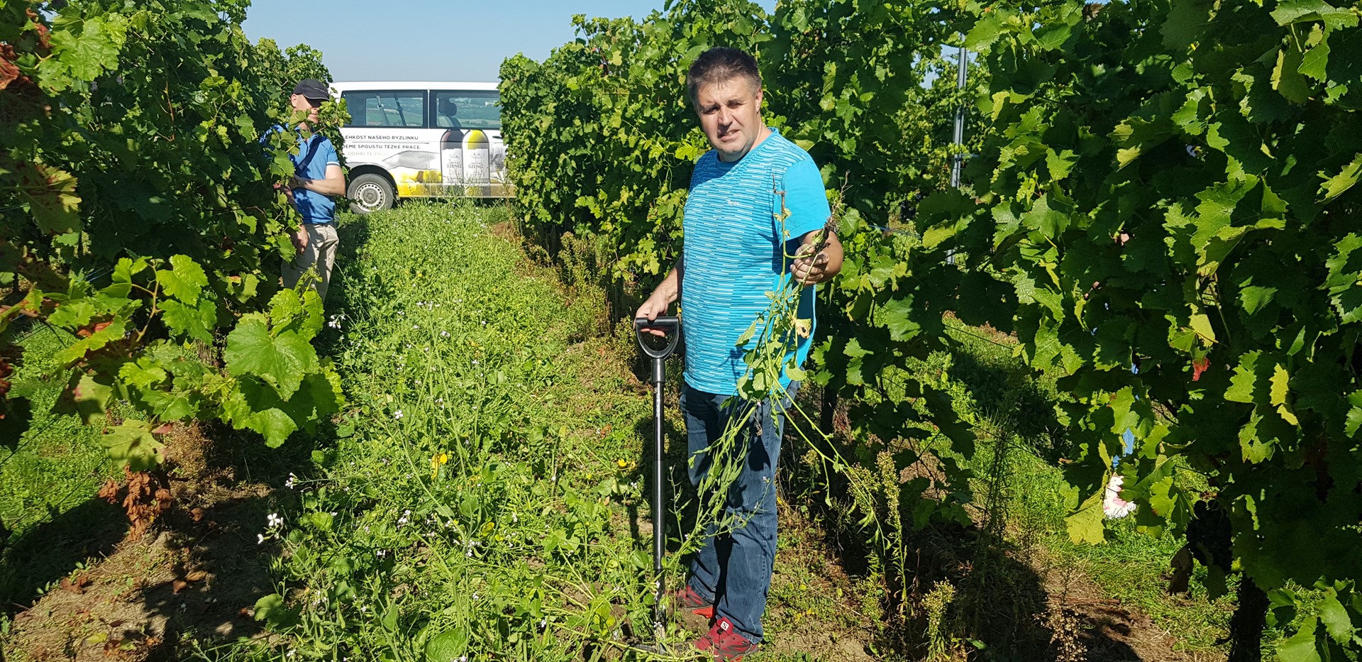 Soil-Loosening Cover Crops Help Retain Water in the Landscape